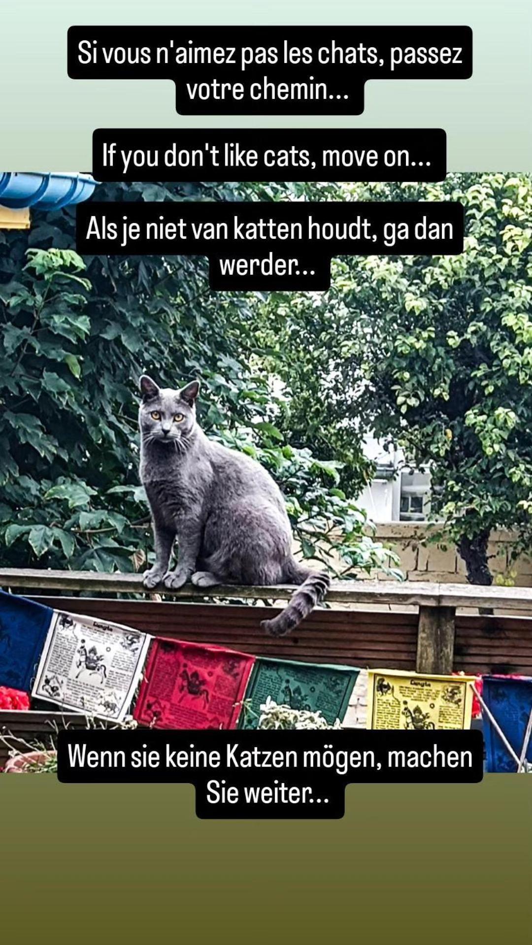 Villa des Chats Calais Esterno foto